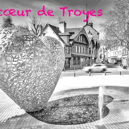 Appartement Hypercentre Troyes Zewnętrze zdjęcie
